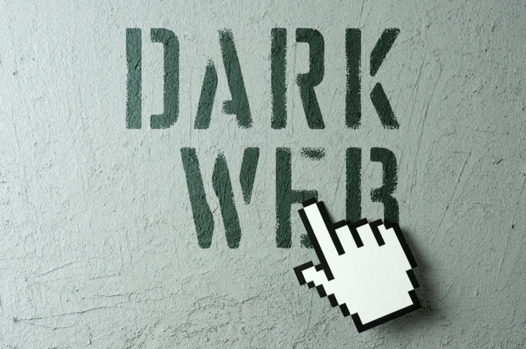 Ross Ulbricht The True Story of a Dark Web Drug Lord