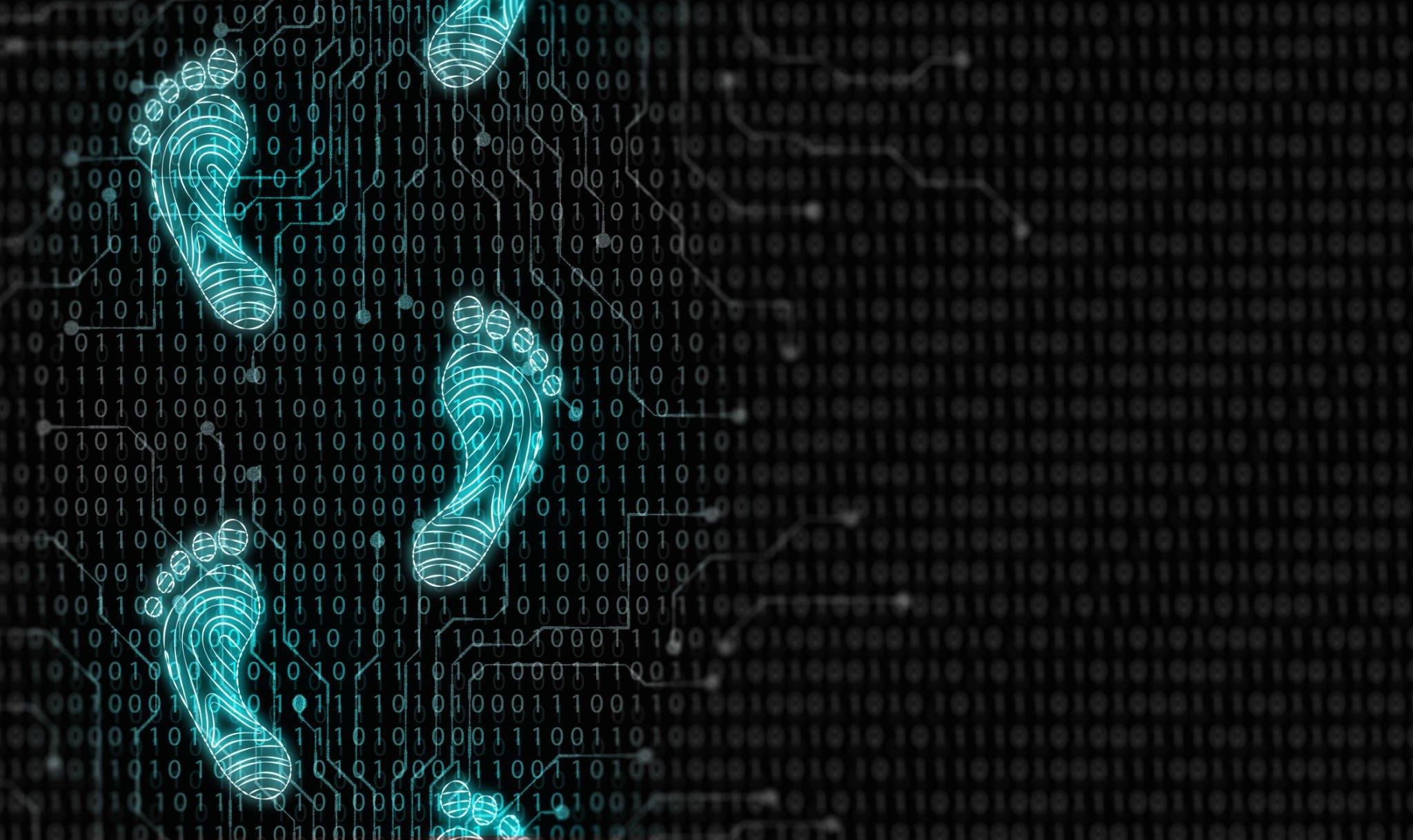 Digital Footprint Search History At Elaine Osborn Blog Digital Footprint Search History At Elaine Osborn Blog